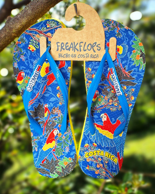 <tc>BLUE MACAWS FLIP FLOPS</tc>