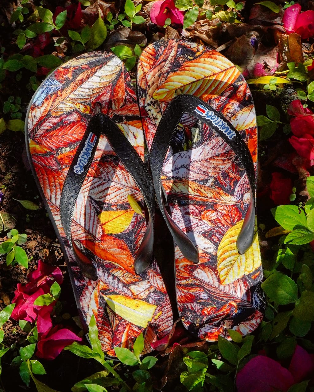 <tc>DRY LEAVES FLIP FLOPS</tc>