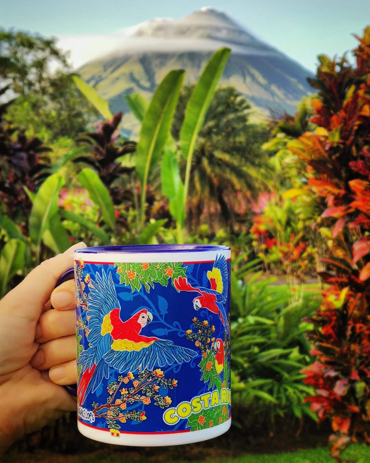 TAZA LAPAS AZULES